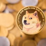 What is dogecoin and its history and uses?